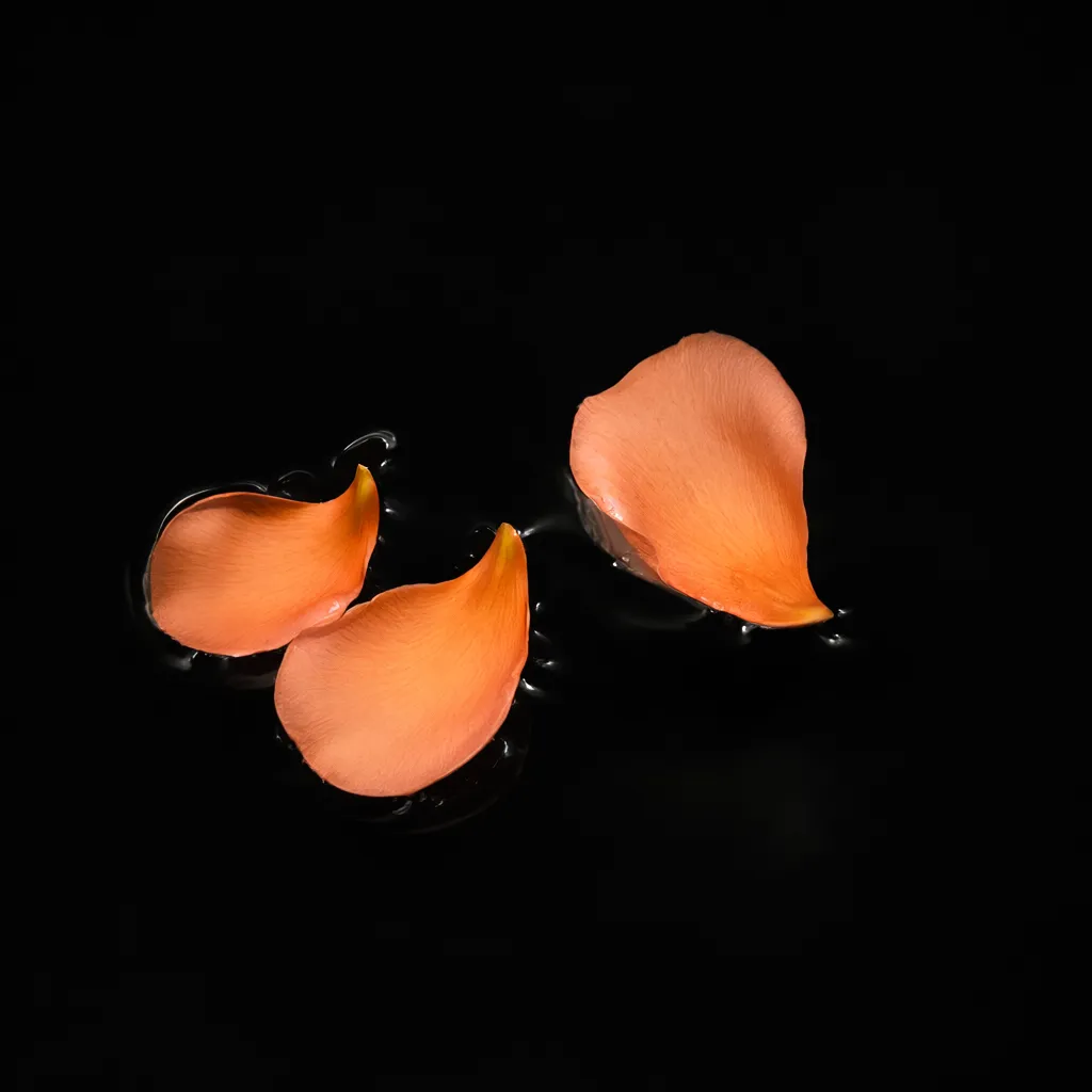 Three orange petals floating on still black water